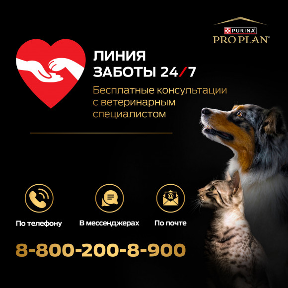 Влажный корм Purina Pro Plan Opti Savour для собак мелких и карликовых пород с курицей, 85 г Влажный корм Purina Pro Plan Opti Savour для собак мелких и карликовых пород с курицей, 85 г