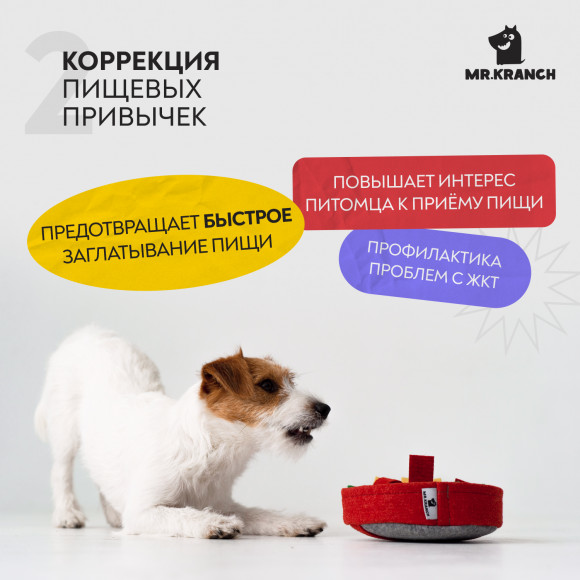 Нюхательная игрушка Mr.Kranch Пицца, размер 18x18см Нюхательная игрушка Mr.Kranch Пицца, размер 18x18см