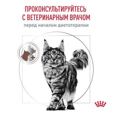 Ветеринарный влажный корм Royal Canin для кошек при нарушениях пищеварения Gastro Intestinal Moderate Calorie 85 г