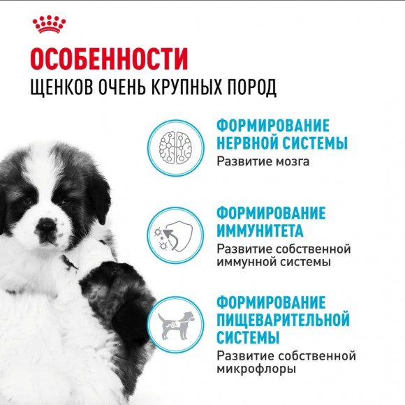Корм Royal Canin для щенков гигантских пород 2-8 мес. Giant Puppy 34 15кг Корм Royal Canin для щенков гигантских пород 2-8 мес. Giant Puppy 34 15кг