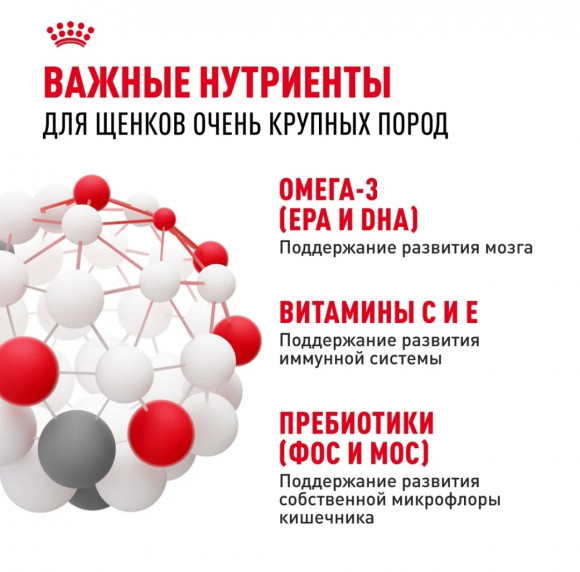 Корм Royal Canin для щенков гигантских пород 2-8 мес. Giant Puppy 34 15кг Корм Royal Canin для щенков гигантских пород 2-8 мес. Giant Puppy 34 15кг