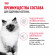 Набор влажных кормов Royal Canin для котят Мультипак Kitten в соусе и желе 5*85гр + 5*85гр Набор влажных кормов Royal Canin для котят Мультипак Kitten в соусе и желе 5*85гр + 5*85гр