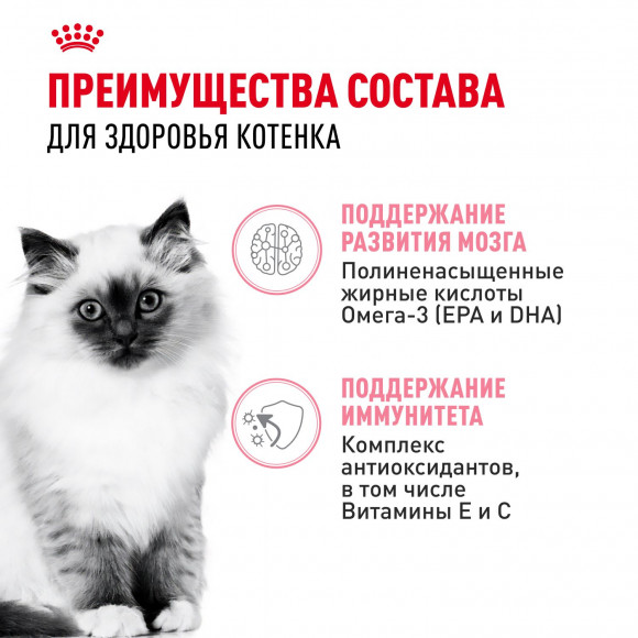 Набор влажных кормов Royal Canin для котят Мультипак Kitten в соусе и желе 5*85гр + 5*85гр Набор влажных кормов Royal Canin для котят Мультипак Kitten в соусе и желе 5*85гр + 5*85гр