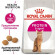 Корм Royal Canin для кошек привередливых к составу продукта Protein Exigent 400 г