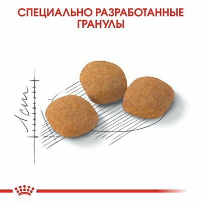 Корм Royal Canin для кошек привередливых к составу продукта Protein Exigent 400 г