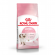 Корм Royal Canin для котят от 4 до 12 мес. Kitten 36 300 г