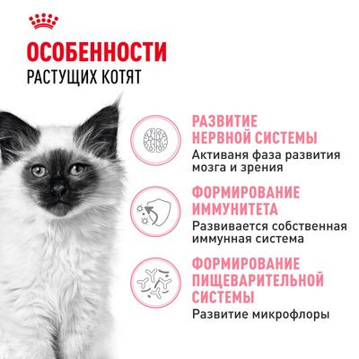 Корм Royal Canin для котят от 4 до 12 мес. Kitten 36 300 г