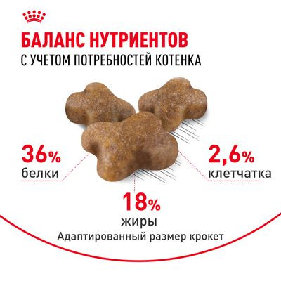 Корм Royal Canin для котят от 4 до 12 мес. Kitten 36 300 г