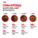 Корм Royal Canin для котят от 4 до 12 мес. Kitten 36 300 г