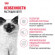 Корм Royal Canin для котят от 4 до 12 мес. Kitten 36 1,2 кг