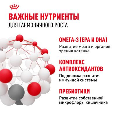 Корм Royal Canin для котят от 4 до 12 мес. Kitten 36 1,2 кг