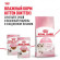 Корм Royal Canin для котят от 4 до 12 мес. Kitten 36 1,2 кг
