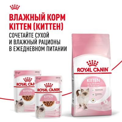 Корм Royal Canin для котят от 4 до 12 мес. Kitten 36 1,2 кг