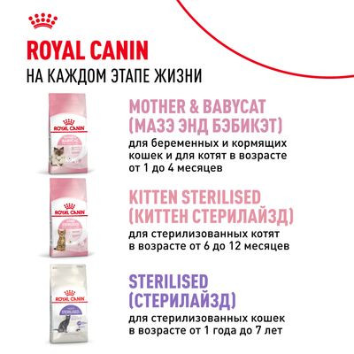 Корм Royal Canin для котят от 4 до 12 мес. Kitten 36 1,2 кг