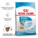 Корм Royal Canin для щенков до 2х мес. и кормящих и беременных собак Mini Starter 3 кг Корм Royal Canin для щенков до 2х мес. и кормящих и беременных собак Mini Starter 3 кг