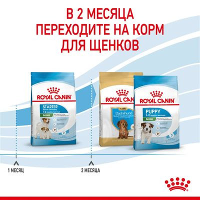 Корм Royal Canin для щенков до 2х мес. и кормящих и беременных собак Mini Starter 3 кг Корм Royal Canin для щенков до 2х мес. и кормящих и беременных собак Mini Starter 3 кг