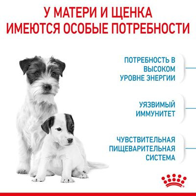 Корм Royal Canin для щенков до 2х мес. и кормящих и беременных собак Mini Starter 3 кг Корм Royal Canin для щенков до 2х мес. и кормящих и беременных собак Mini Starter 3 кг