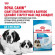 Корм Royal Canin для щенков до 2х мес. и кормящих и беременных собак очень крупных пород  Giant Starter 15кг