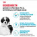 Корм Royal Canin для щенков до 2х мес. и кормящих и беременных собак очень крупных пород  Giant Starter 15кг