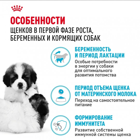 Корм Royal Canin для щенков до 2х мес. и кормящих и беременных собак очень крупных пород  Giant Starter 15кг