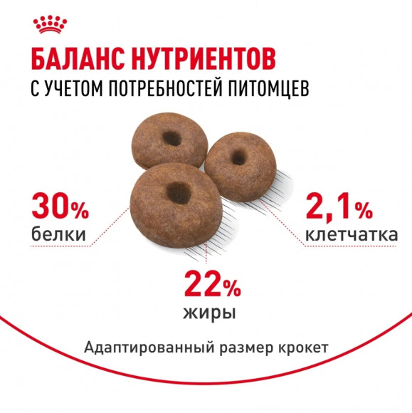 Корм Royal Canin для щенков до 2х мес. и кормящих и беременных собак очень крупных пород  Giant Starter 15кг