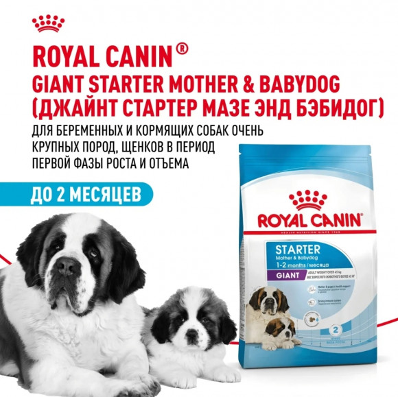 Корм Royal Canin для щенков до 2х мес. и кормящих и беременных собак очень крупных пород  Giant Starter 4 кг