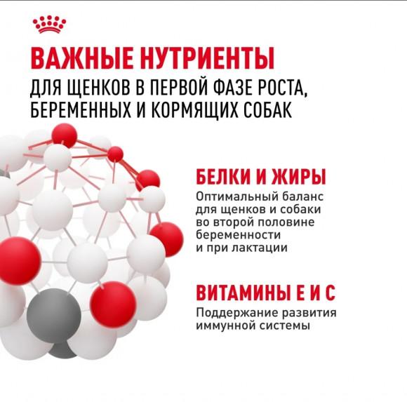 Корм Royal Canin для щенков до 2х мес. и кормящих и беременных собак очень крупных пород  Giant Starter 4 кг