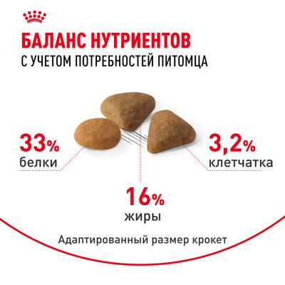 Корм Royal Canin для кошек-приверед к вкусу (1-12 лет) Savour Exigent 400 г