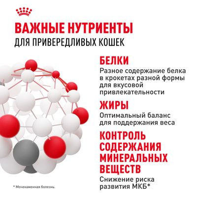 Корм Royal Canin для кошек-приверед к вкусу (1-12 лет) Savour Exigent 400 г