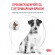 Ветеринарный корм Royal Canin для собак мелких пород при нарушениях пищеварения Gastrointestinal Low Fat Small Dog 3кг Ветеринарный корм Royal Canin для собак мелких пород при нарушениях пищеварения Gastrointestinal Low Fat Small Dog 3кг