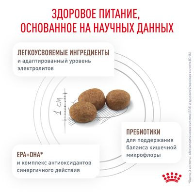 Ветеринарный корм Royal Canin для собак мелких пород при нарушениях пищеварения Gastrointestinal Low Fat Small Dog 3кг Ветеринарный корм Royal Canin для собак мелких пород при нарушениях пищеварения Gastrointestinal Low Fat Small Dog 3кг