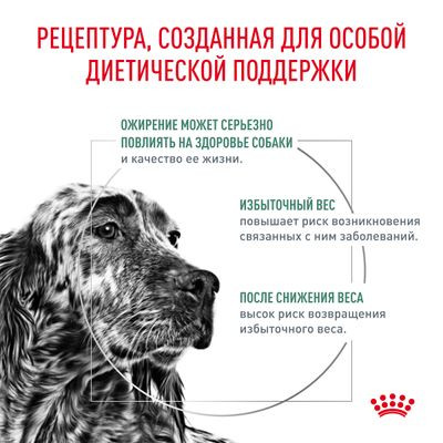 Ветеринарный корм Royal Canin для собак контроль избыточного веса Satiety Weight Management SAT30 1,5 кг Ветеринарный корм Royal Canin для собак контроль избыточного веса Satiety Weight Management SAT30 1,5 кг