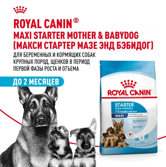 СКИДКА!!! Корм Royal Canin для щенков крупных пород до 2х месяцев, беременных и кормящих собак Maxi Starter 4 кг
