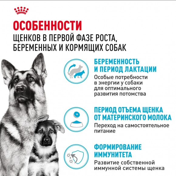 СКИДКА!!! Корм Royal Canin для щенков крупных пород до 2х месяцев, беременных и кормящих собак Maxi Starter 4 кг