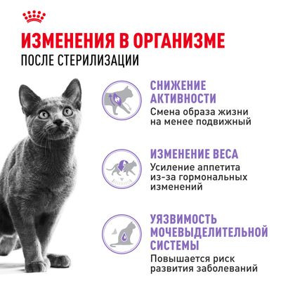 Корм Royal Canin для стерилизованных кошек Sterilised 37 400 г