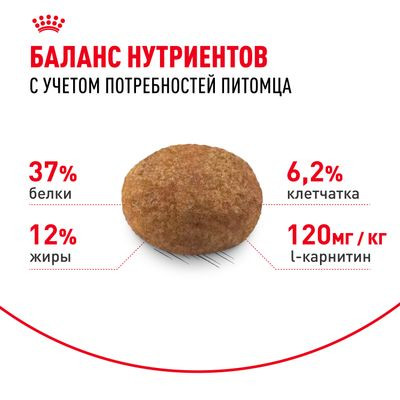 Корм Royal Canin для стерилизованных кошек Sterilised 37 400 г