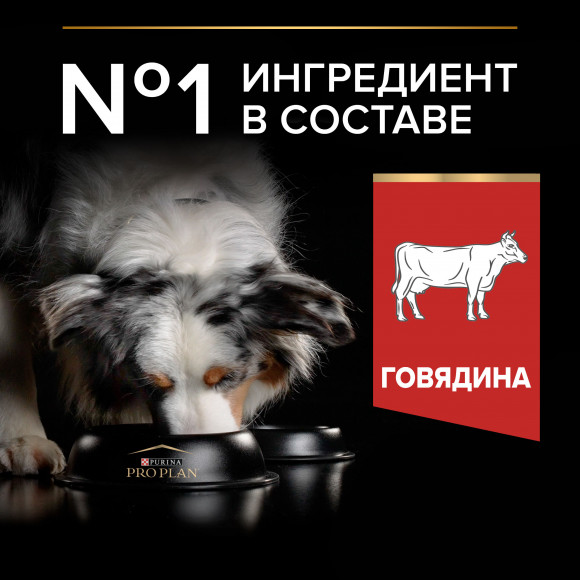 Корм Purina Pro Plan DUO DELICE для взрослых собак средних и крупных пород с превосходным вкусом и двойной текстурой гранул с говядиной, 10 кг Корм Purina Pro Plan DUO DELICE для взрослых собак средних и крупных пород с превосходным вкусом и двойной текстурой гранул с говядиной, 10 кг