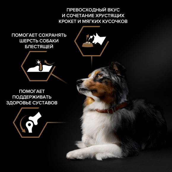 Корм Purina Pro Plan DUO DELICE для взрослых собак средних и крупных пород с превосходным вкусом и двойной текстурой гранул с говядиной, 10 кг Корм Purina Pro Plan DUO DELICE для взрослых собак средних и крупных пород с превосходным вкусом и двойной текстурой гранул с говядиной, 10 кг