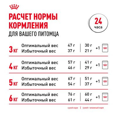 Корм Royal Canin для стерилизованных кошек Sterilised 37 4 кг Корм Royal Canin для стерилизованных кошек Sterilised 37 4 кг