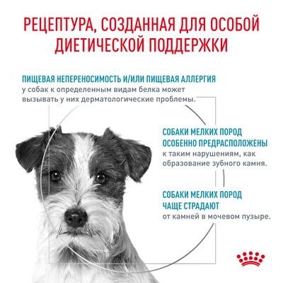 Ветеринарный корм Royal Canin для собак малых пород с пищевой aллергией Hypoallergenic small HSD24 3,5 кг Ветеринарный корм Royal Canin для собак малых пород с пищевой aллергией Hypoallergenic small HSD24 3,5 кг