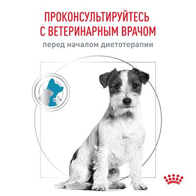 Ветеринарный корм Royal Canin для собак малых пород с пищевой aллергией Hypoallergenic small HSD24 3,5 кг Ветеринарный корм Royal Canin для собак малых пород с пищевой aллергией Hypoallergenic small HSD24 3,5 кг