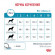 Ветеринарный корм Royal Canin для собак малых пород с пищевой aллергией Hypoallergenic small HSD24 3,5 кг Ветеринарный корм Royal Canin для собак малых пород с пищевой aллергией Hypoallergenic small HSD24 3,5 кг