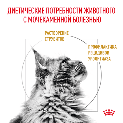 Ветеринарный корм Royal Canin для кошек "Лечение и профилактика МКБ" (при мочекаменной болезни) Urinary S/O 350 г