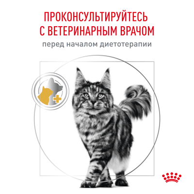 Ветеринарный корм Royal Canin для кошек "Лечение и профилактика МКБ" (при мочекаменной болезни) Urinary S/O 350 г