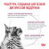 Ветеринарный корм Royal Canin для кошек Лечение заболеваний почек Renal 350 г Ветеринарный корм Royal Canin для кошек Лечение заболеваний почек Renal 350 г