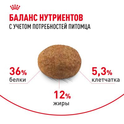 Корм Royal Canin для стерилизованных кошек старше 7 лет Sterilised 7+ 400 г