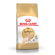 Корм Royal Canin для сфинксов (1-10 лет) Sphynx 33 2 кг