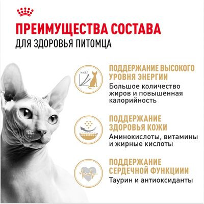 Корм Royal Canin для сфинксов (1-10 лет) Sphynx 33 2 кг