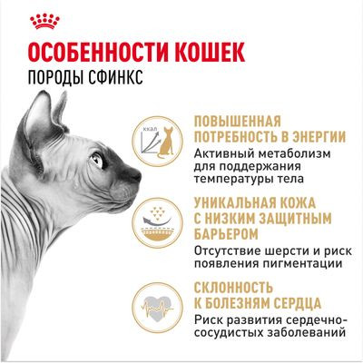 Корм Royal Canin для сфинксов (1-10 лет) Sphynx 33 2 кг