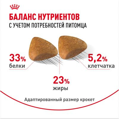 Корм Royal Canin для сфинксов (1-10 лет) Sphynx 33 2 кг